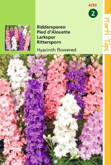 Ridderspoor Hyacinth Bloemige Mix (Consolida) 500 zaden HT